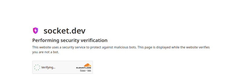 Socket.dev 网站截图