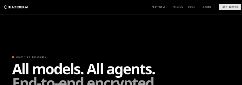 Blackbox AI 网站截图
