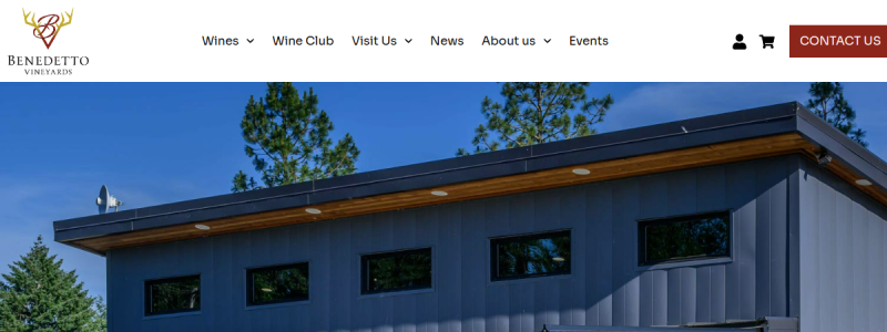 benedettovineyards.com