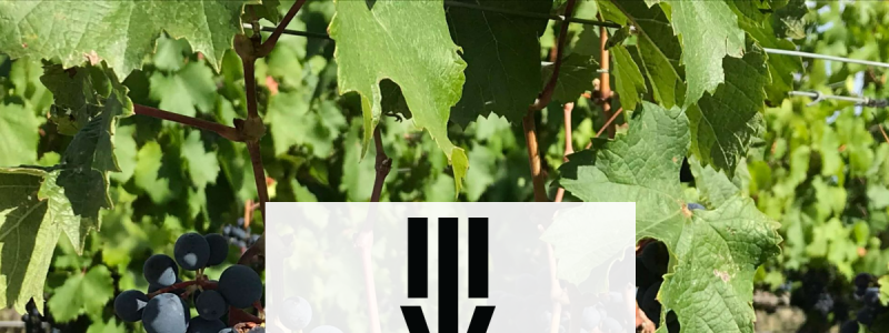 caldwellfamilyvines.com