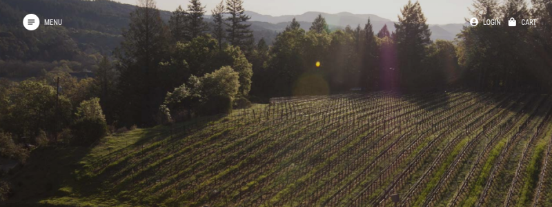 friasfamilyvineyard.com