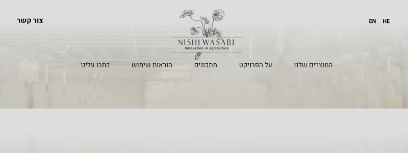 נישי וואסבי