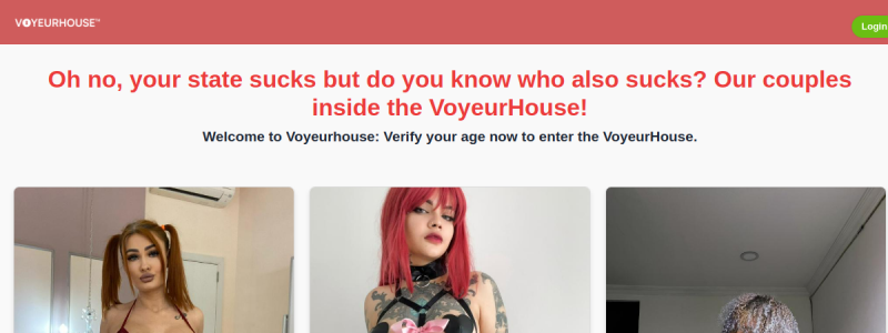 voyeurhouse,偷窥狂房子 快照