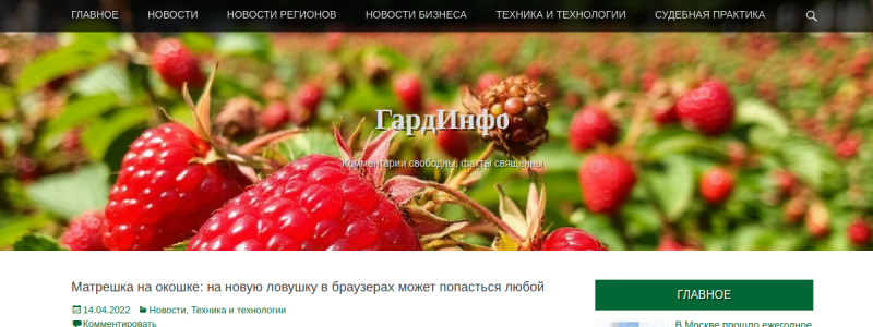 Превью публикации «guardinfo.online»