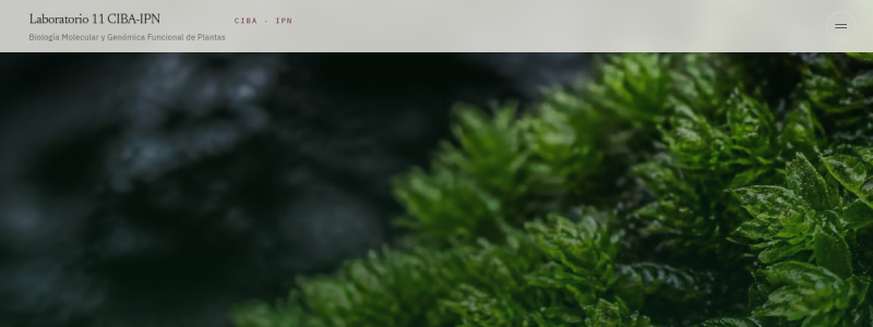 Vista del sitio de Moss Genomics