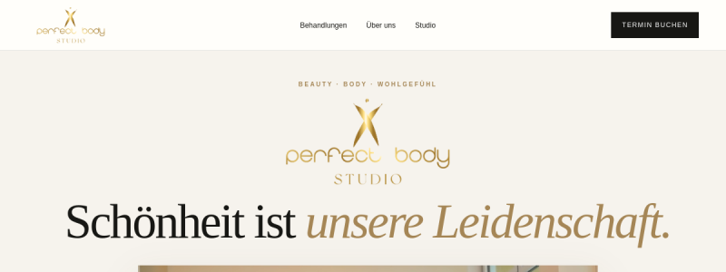 Website Thumbnail: X-Perfect-Body Studio