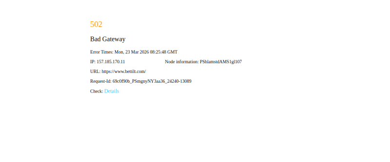 Bettilt Casino Homepage