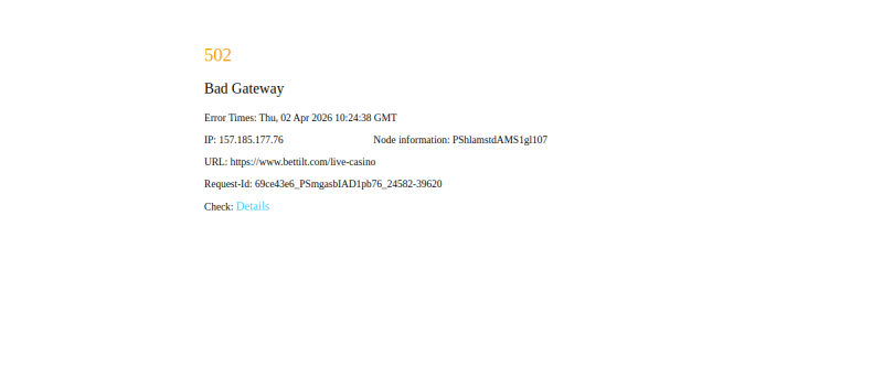 Bettilt Casino Live Casino