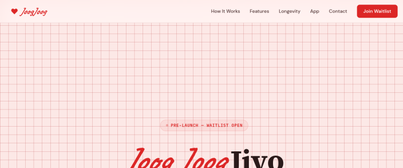 Website screenshot of joogjoog.com