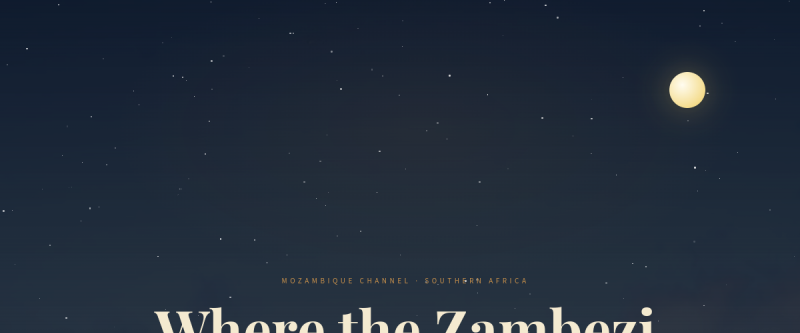 Website preview