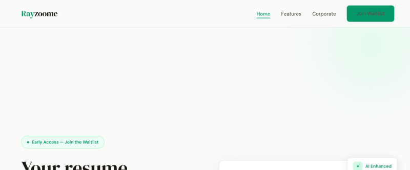 Website screenshot of rayzoome.com