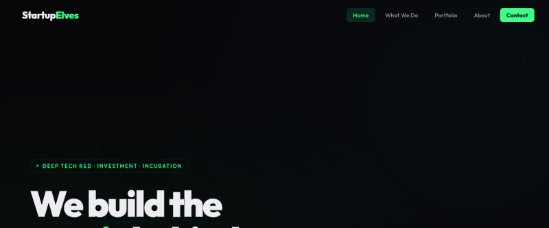 Website screenshot of startupelves.com