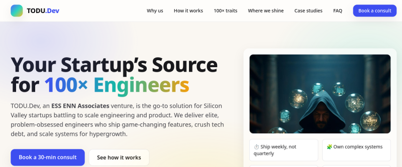 Website screenshot of todu.dev
