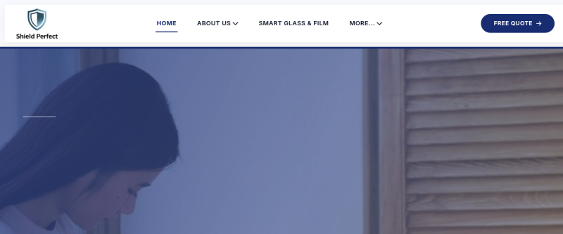 Shield Perfect website screenshot