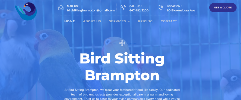 Bird Sitting Brampton