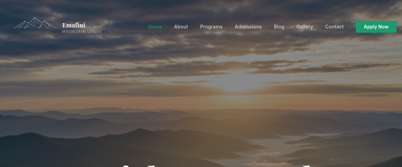 Emafini website preview