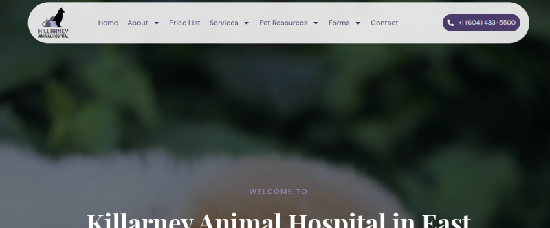 Killarney Animal Hospital website screenshot