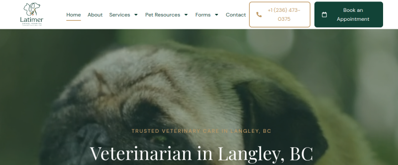 Latimer Vets website screenshot