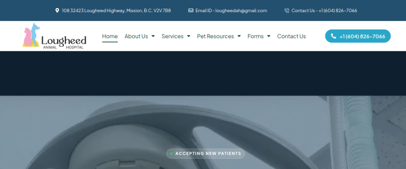 Lougheed Animal Hospital website screenshot