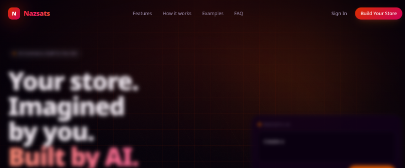 Nazsats AI Store Builder screenshot