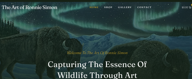 The Art of Ronnie Simon