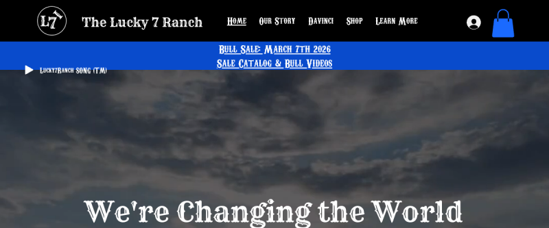 The Lucky 7 Ranch website preview
