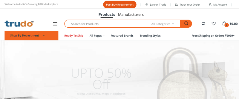 Preview of trudo.in website