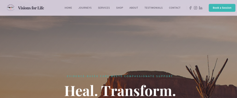 Visions for Life website preview