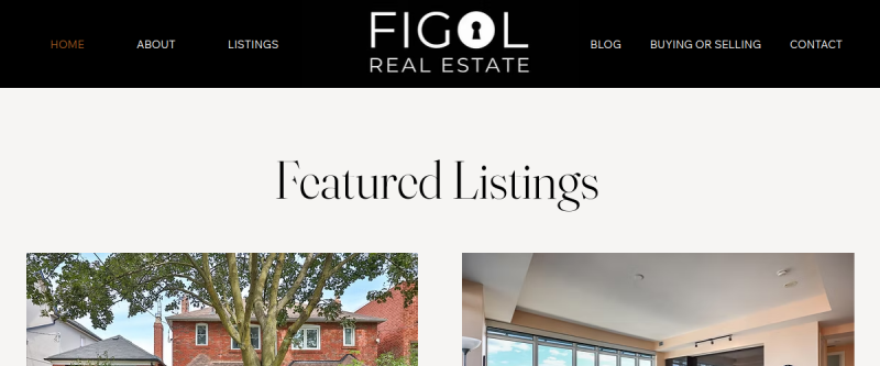 Website screenshot of Figol Real Estate - Re/Max Hallmark Realty Ltd.