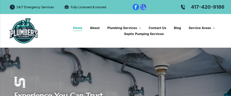 Website screenshot of The Plumber's Plumber