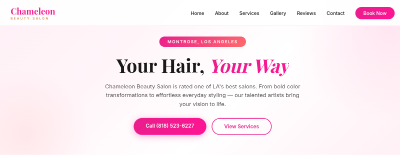 Chameleon Salon website