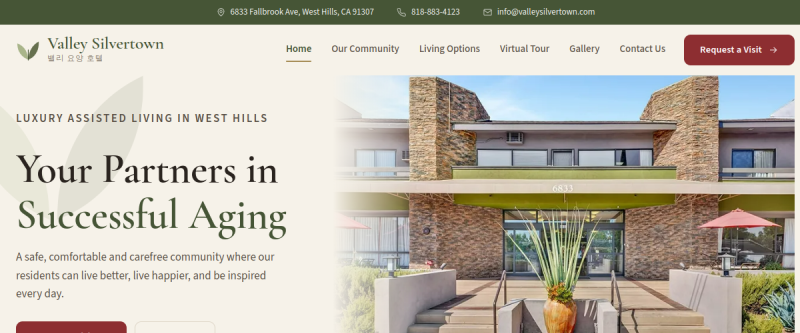 The Valley Silvertown website, designed and built by IMDGFX