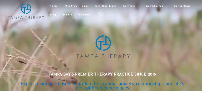 Website screenshot of Tampa Therapy