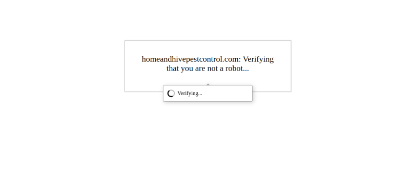 Website screenshot of Home and Hive Pest Control