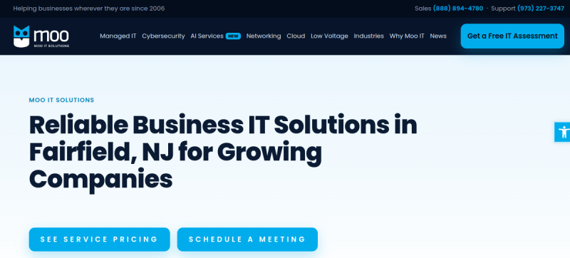 Website screenshot of MooIT Solutions - New Jersey Managed IT Services Company