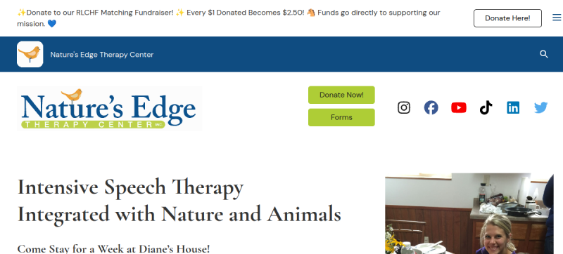 Website screenshot of Nature's Edge Therapy Center Inc