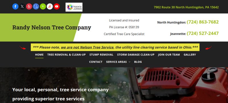 Website screenshot of Nelson Tree Company
