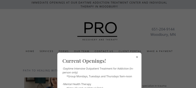 Website screenshot of PRO Recovery & Therapy