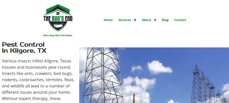 Website screenshot of The Bug's End