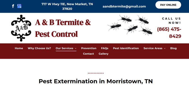 Website screenshot of A & B Termite & Pest Control