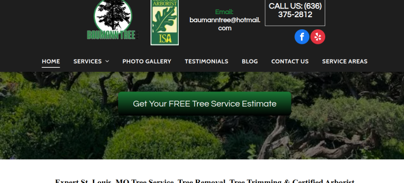 Website screenshot of Baumann Tree
