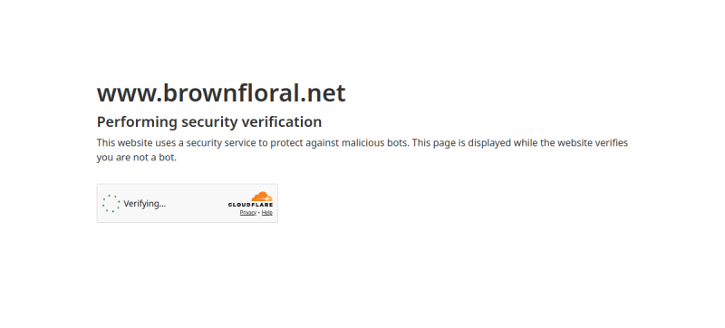 Website screenshot of Brown Floral