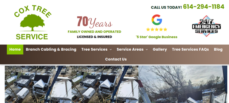 Website screenshot of Cox Tree Services