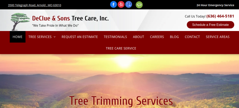 Website screenshot of DeClue & Sons Tree Care, Inc.