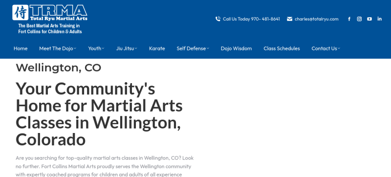 Website screenshot of Find Kids Karate Class Wellington CO