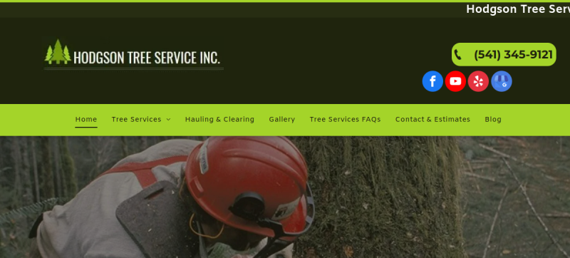 Website screenshot of Hodgson Tree Service Inc.