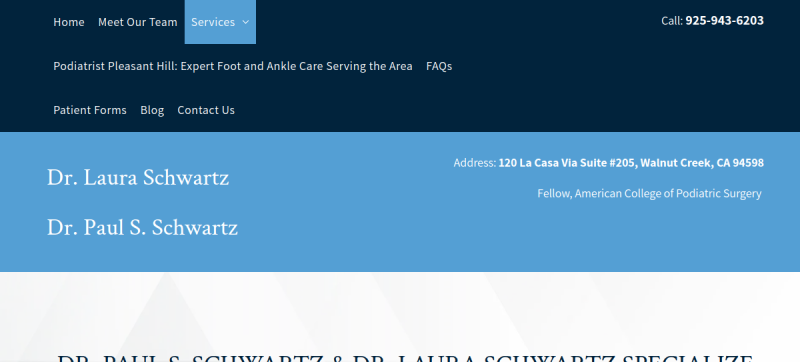 Website screenshot of Dr. Laura Schwartz and Dr. Paul Schwartz