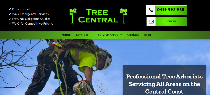 Website screenshot of Tree Central Pty Ltd