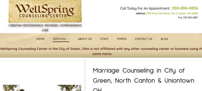 Website screenshot of Wellspring Counseling Center