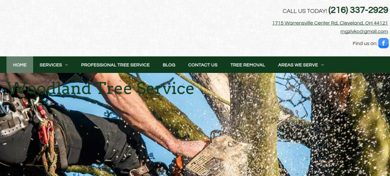 Website screenshot of Woodland Tree Service